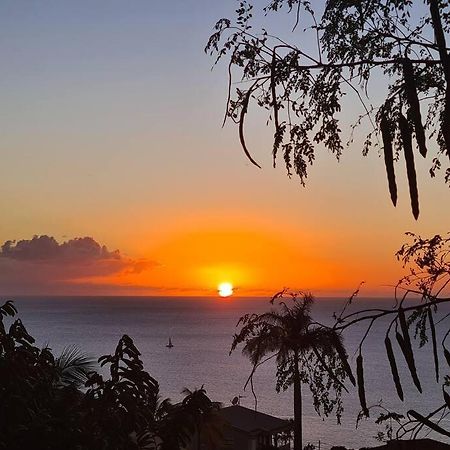 Ti Sucrier Jaune - Douceur Caraibe Vue Mer Le Carbet Extérieur photo