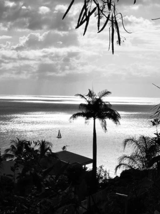 Ti Sucrier Jaune - Douceur Caraibe Vue Mer Le Carbet Extérieur photo