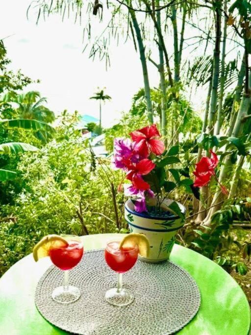 Ti Sucrier Jaune - Douceur Caraibe Vue Mer Le Carbet Extérieur photo
