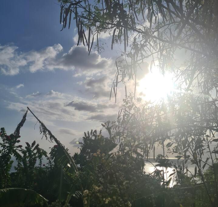 Ti Sucrier Jaune - Douceur Caraibe Vue Mer Le Carbet Extérieur photo