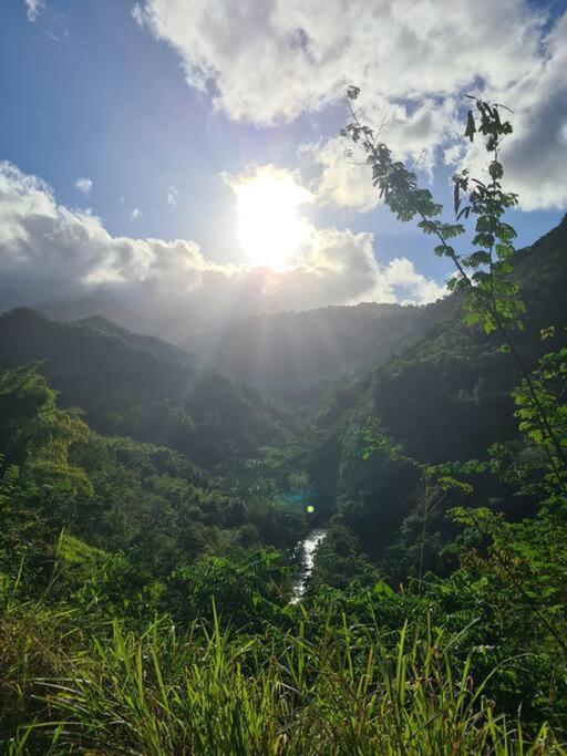 Ti Sucrier Jaune - Douceur Caraibe Vue Mer Le Carbet Extérieur photo