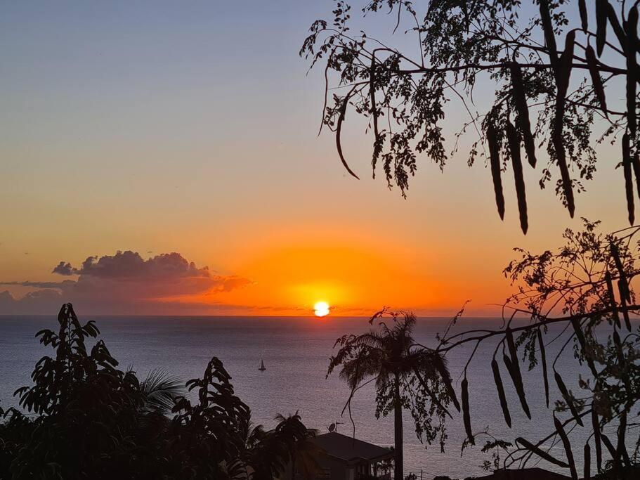Ti Sucrier Jaune - Douceur Caraibe Vue Mer Le Carbet Extérieur photo