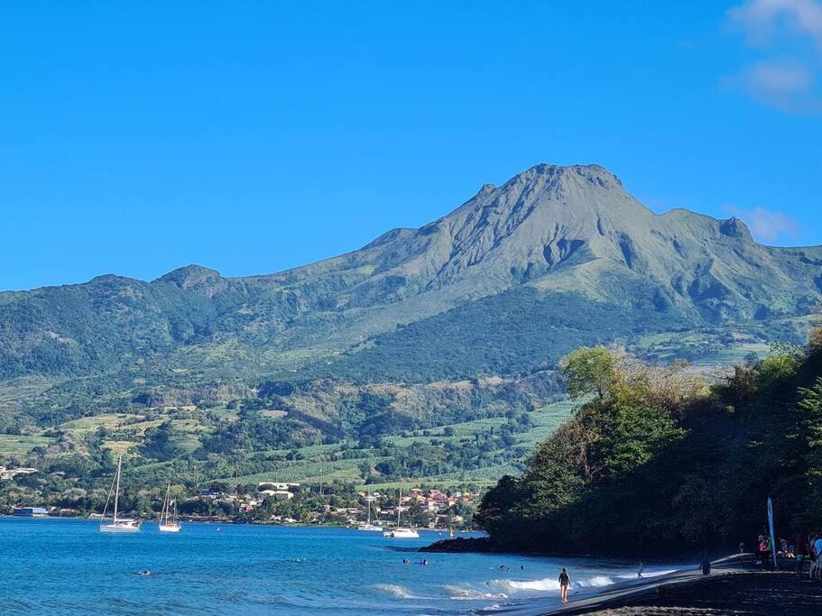 Ti Sucrier Jaune - Douceur Caraibe Vue Mer Le Carbet Extérieur photo