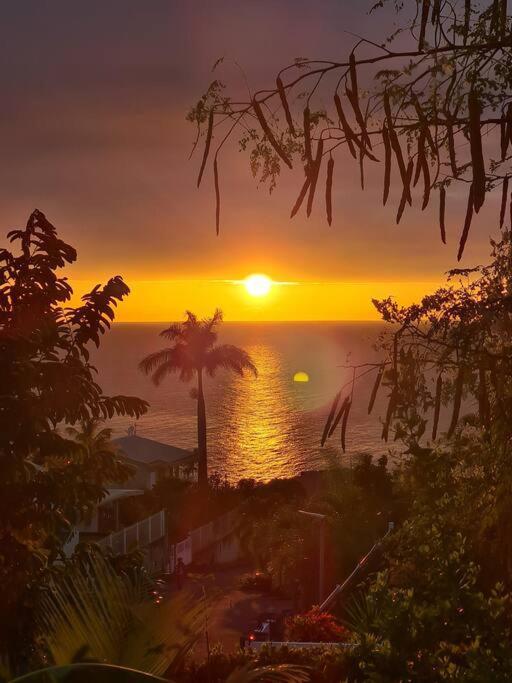Ti Sucrier Jaune - Douceur Caraibe Vue Mer Le Carbet Extérieur photo