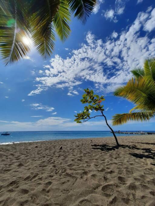 Ti Sucrier Jaune - Douceur Caraibe Vue Mer Le Carbet Extérieur photo